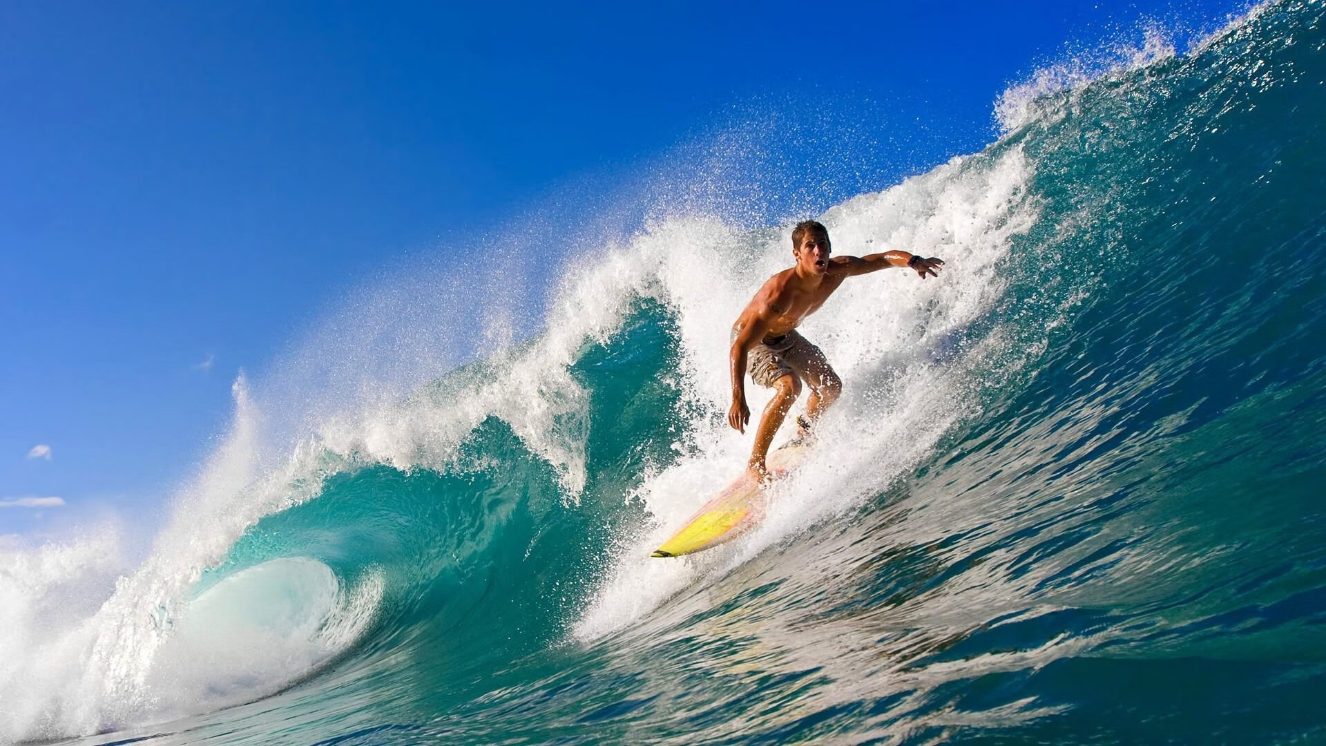 “西甲焦点:领头羊连续保持不败金身”,领头羊指标详细介绍